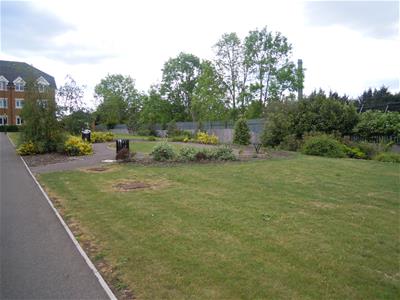 Picture 8